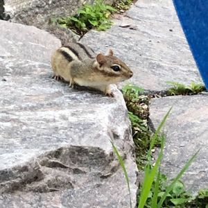 Meet your Posher, Tina